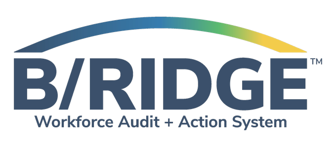 B/RIDGE Workforce Audit + Action System
